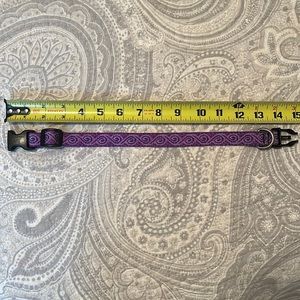 Puppy or small dog collar